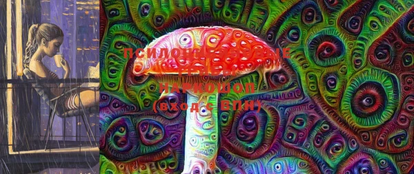 PSILOCYBIN Гусиноозёрск